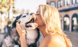 10 Advantages of Keeping a Pet at home are Great For Mind, Body And Soul