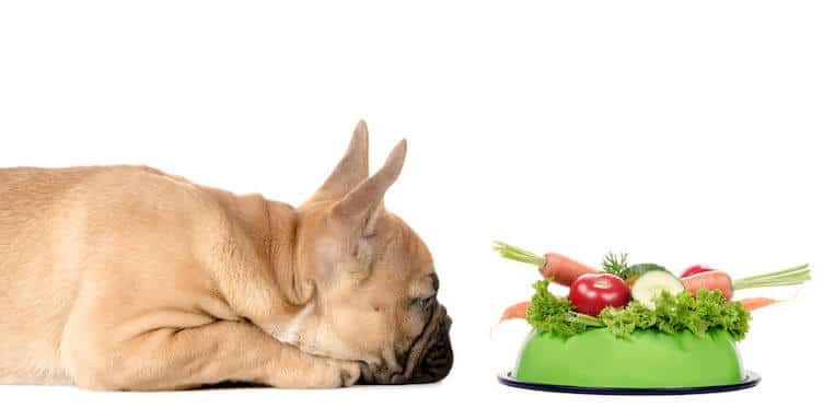 Fresh food toppers for dog diet