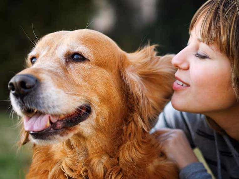 Common Dog Health Issues You Must Know