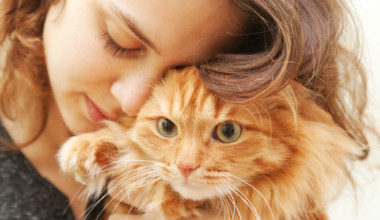 Signs of a Healthy Cat and Common Signs of Illness