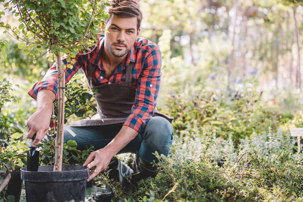 Things You Need to Know Before Planting Fruit Trees