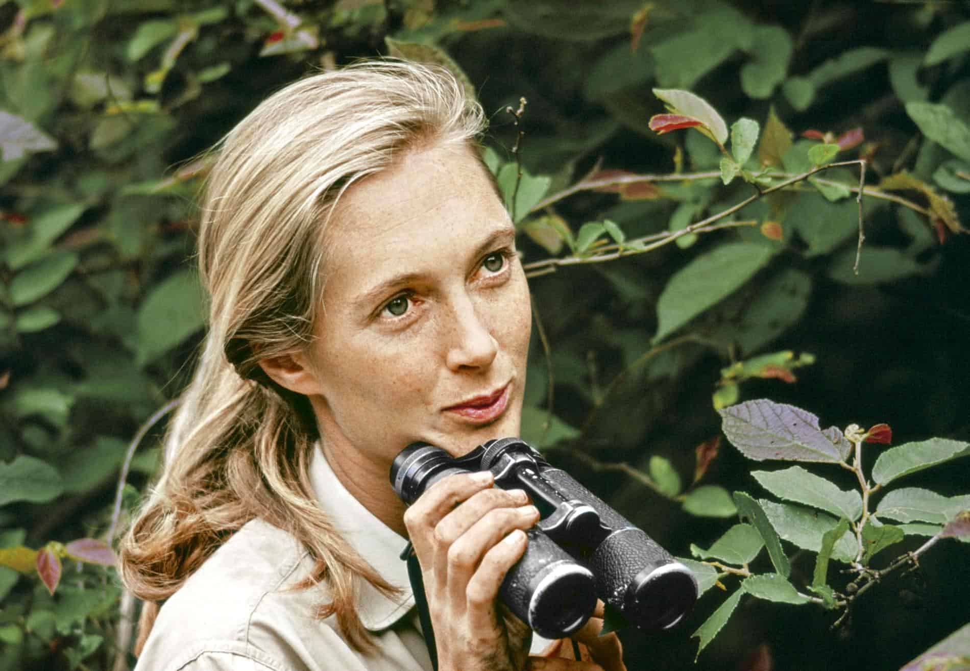 Jane Goodall inspirational women