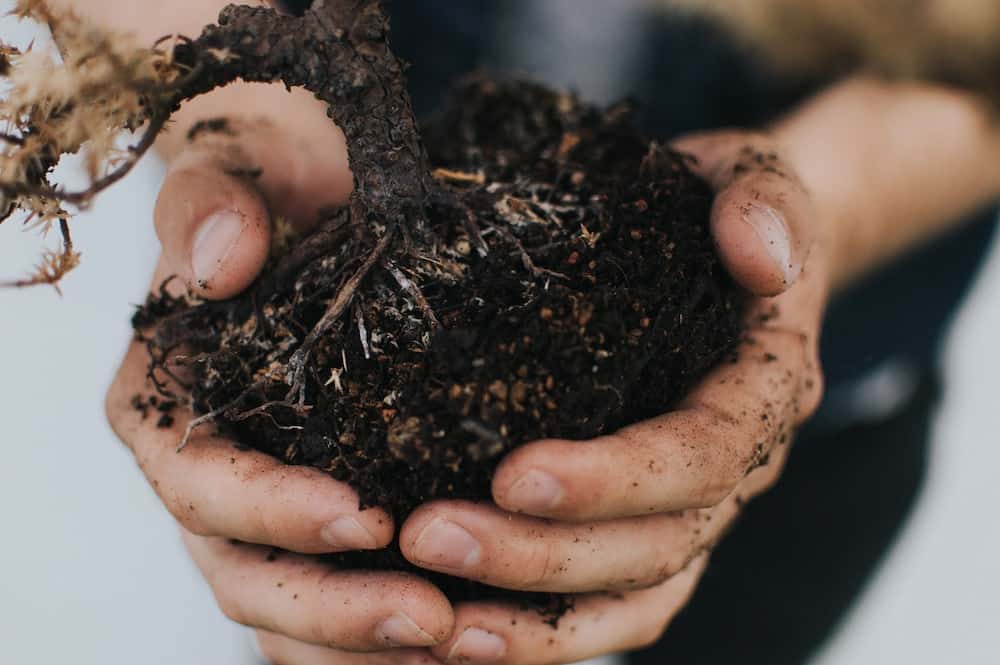 Gardening tips for soil preparation