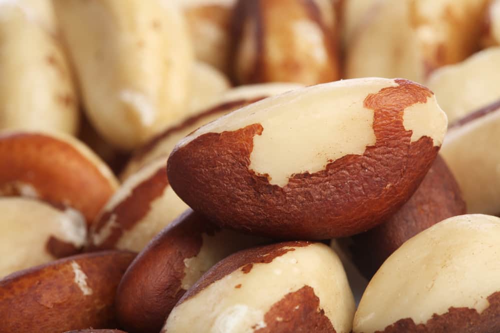 Brazil Nuts Benefits For Health You Should Know