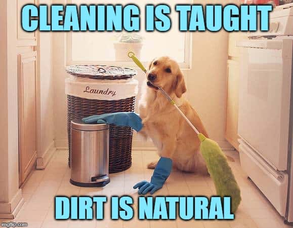 house cleaning memes 4