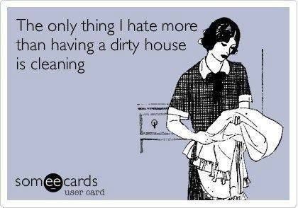 house cleaning memes 6