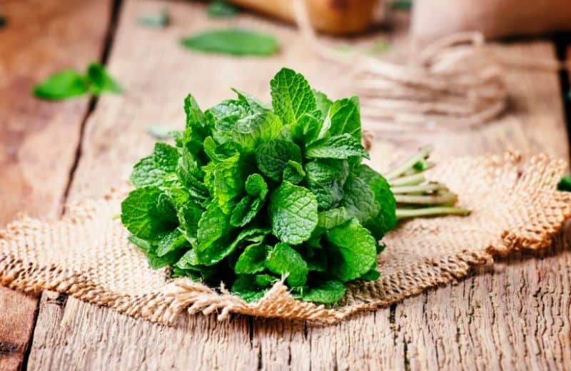 Foods for Healthy Skin-Mint