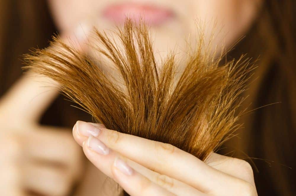 12 Home Remedies for Dry Hair Treatments