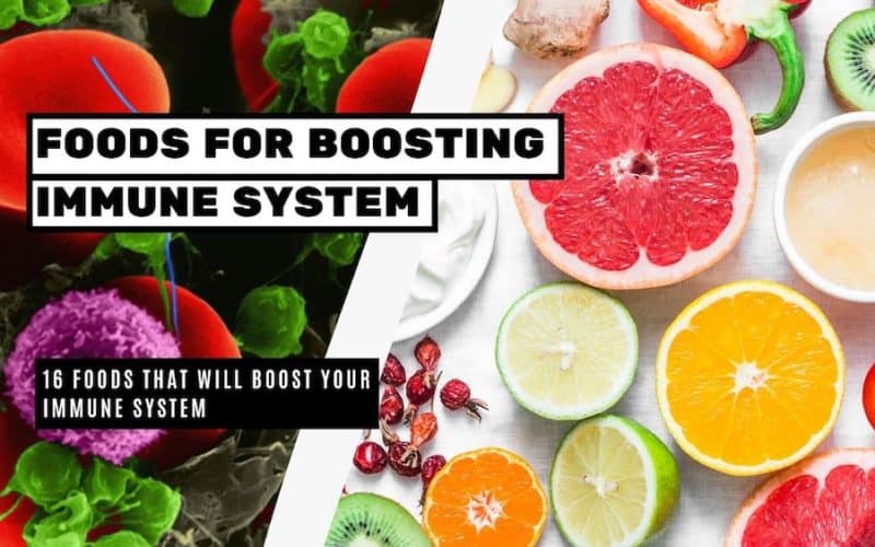 Foods that will Boost Your Immune System