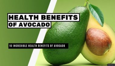10 Incredible Health Benefits of Avocado