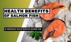 10 Incredible Health Benefits of Salmon Fish