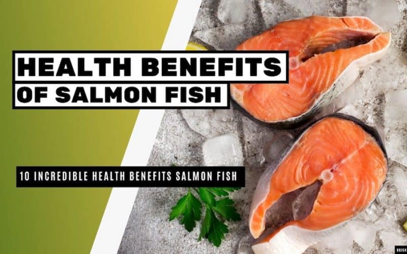 10 Incredible Health Benefits of Salmon Fish