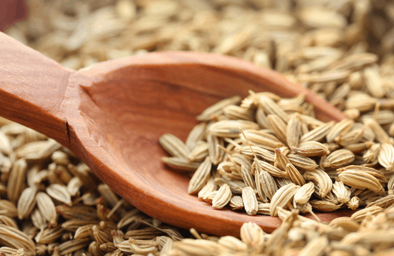 Fennel Seeds For Bad Breath Treatment 
