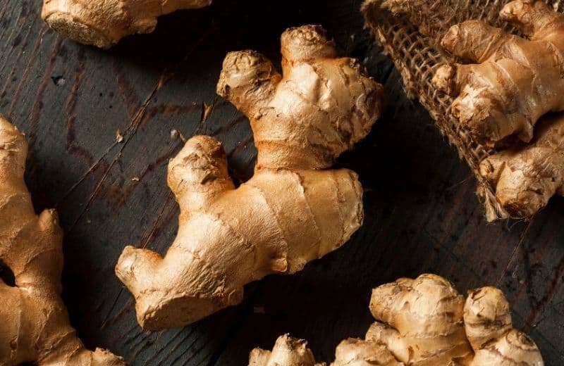 Ginger for Asthma Treatment