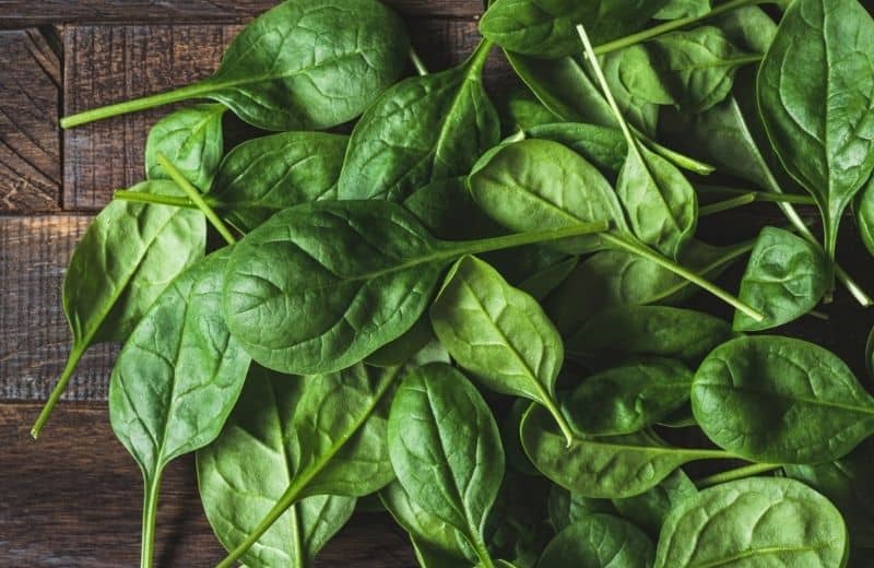 Spinach for anti-aging